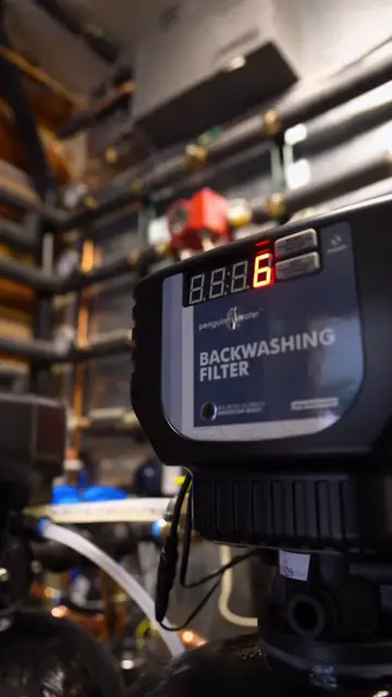 Automatic backwashing water filter control head