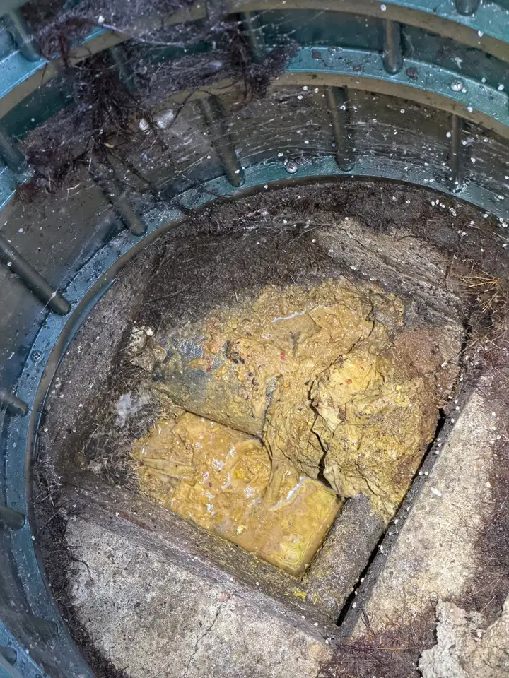 Drain catch basin clogged with grease, wipes and debris