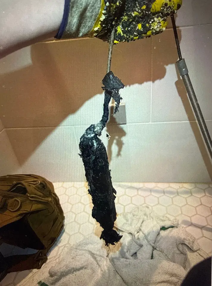 Clog pulled from a drain line during mechanical cleaning